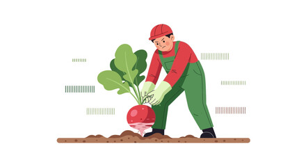 Farmer Harvesting Radish in a Garden, Illustrating Agricultural Labor and Cultivation