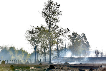 Fototapeta premium Linha de transmissão elétrica no meio da fumaça após incêndio em área de vegetação. Conceito de energia, meio ambiente, impacto ambiental, alterações climáticas e infraestrutura.