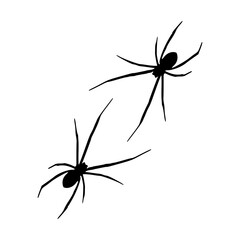 Halloween spiders isolated graphic