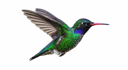 Iridescent Green Hummingbird (Colibri) in Flight with Bright Red Beak Isolated on Transparent PNG Background