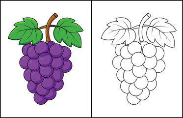 Grapes Coloring Page with Colored Example Illustration