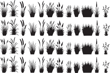 grass, reed, plant, nature, silhouette, black, collection, set, illustration, drawing, graphic, design, element, vegetation, flora, field, meadow, marsh, wetland, growth, texture, pattern, botanical, 