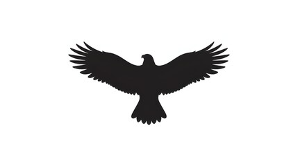 eagle on white background
