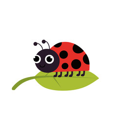 Adorable red ladybug cartoon with black spots sitting on green leaf, isolated on white vector, perfect for children’s books, education, and nature design