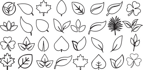 leaf, leaves, foliage, plant, nature, botanical, outline, icon, design, element, graphic, set, collection, isolated, white background, simple, decorative, organic, autumn, spring, summer, maple leaf, 