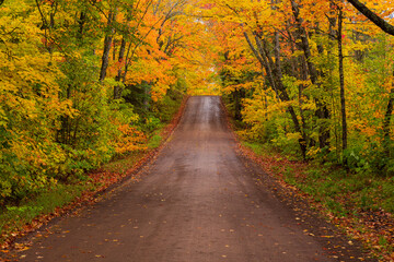 Fall Road