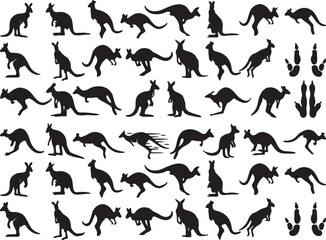kangaroo, silhouette, marsupial, animal, wildlife, australia, hopping, jumping, standing, running, paw print, track, outline, black and white, vector, graphic, nature, mammal, fauna, movement, action,