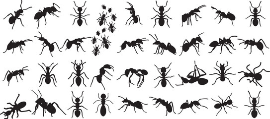 ant, ants, insect, insects, bug, creature, animal, wildlife, silhouette, icon, design, element, graphic, set, collection, isolated, white background, macro, crawling, marching, group, swarm, small, bl