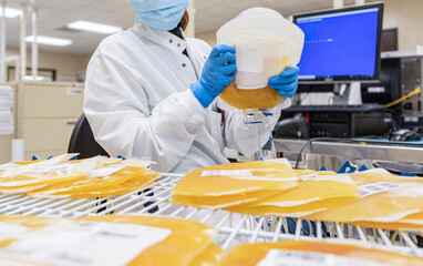 A lab worker handling bags of human plasma