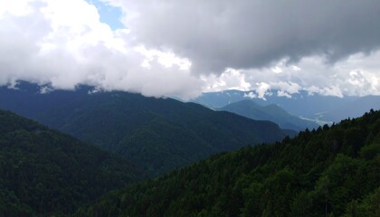 Naklejka premium Panoramic view of dense green mountains shrouded in misty clouds, tranquil nature scene