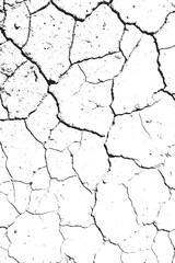 Distressed Monochrome Cracked Ground Vector Texture