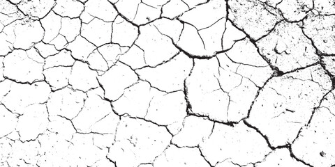 Abstract Black and White Dry Cracked Earth Texture