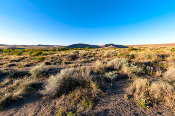 Bruneau Dunes Idaho