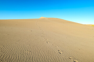 Steps on the sand dune