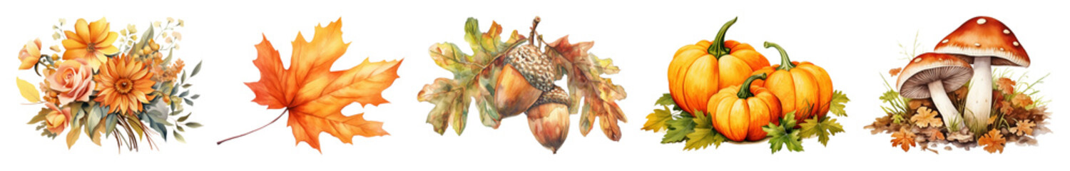 Fototapeta premium PNG Autumn foliage pumpkins mushrooms illustration, element set on transparent background