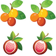 Two pairs of stylized fruits with green leaves on white background jujube lychee