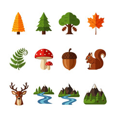 Fototapeta premium Collection of Stylized Forest Elements and Wildlife Icons