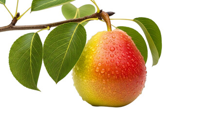 Obraz premium Freshly picked pear with glistening water droplets, ideal for healthy eating campaigns, modern food blogs, and vibrant summer promotions