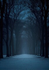 Obraz premium Misty winter path through dark trees