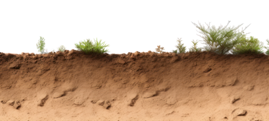 PNG Ground nature landscape outdoors.