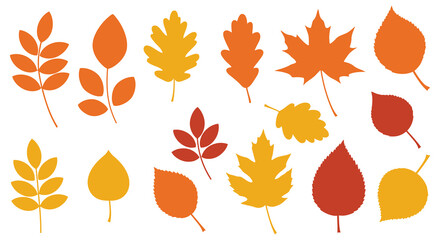 Obraz premium Collection of colorful autumn leaves in various shapes and sizes