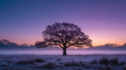 Misty English countryside at dawn with an ancient oak tree barely visible through thick fog, soft purple and blue sky, sunlight peeking, atmospheric landscape, serene and mysterious rural scenery