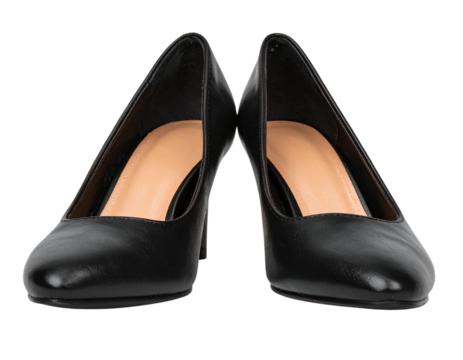  Elegant Black Pumps with Low Heel, Front View, isolated on transparent background PNG