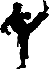 silhouette of a pencak silat practitioner delivering a high kick while balancing on one leg