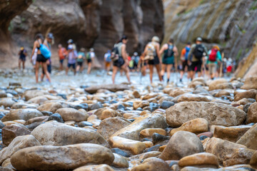 Hikers explore the rocky riverbed of a breathtaking canyon on a sunny day filled with adventure and nature © Lost_in_the_Midwest