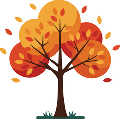 Fototapeta premium Web