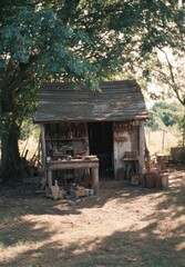 Rustic shed under trees