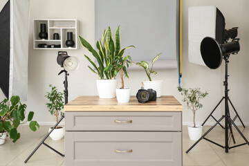 Houseplants with camera on counter in photo studio