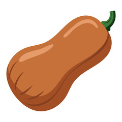 Cartoon flat style squash icon isolated object. Vegetable organic eco bio product from the farm vector illustration perfect for eco food design and agriculture visuals.