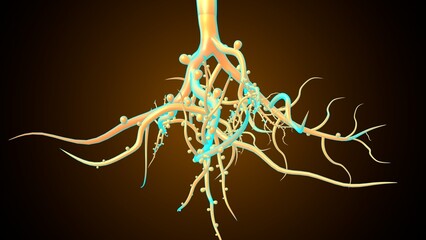 Plants root system. 3d illustration
