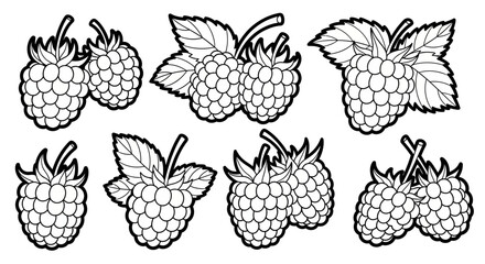 Assortment of raspberries, featuring individual berries and clusters with leaves, as line art on an isolated white background, for coloring.