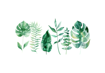 Tropical leaves, eucalyptus, monstera, fern, minimal line art, g
