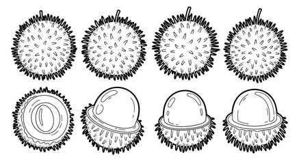 Black and white outline of whole and opened durians, the "king of fruits," known for their spiky exterior, on an isolated white background.
