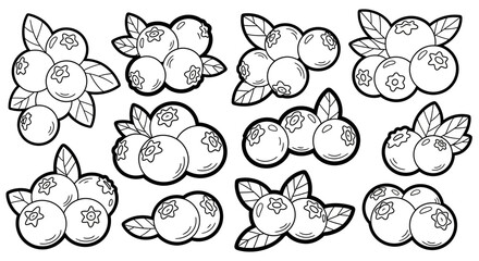 Fresh Blueberries in Clusters with Leaves, Line Art on an Isolated White Background