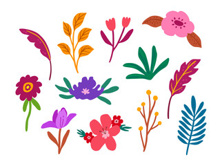 Decorative floral elements vector. Botanical colorful graphic set for textile, design, and prints.