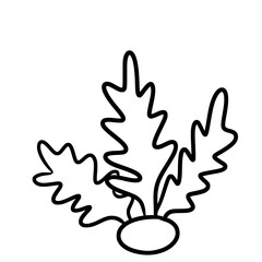 Obraz premium Hand drawn coral vector illustration