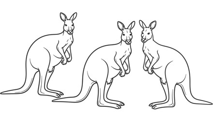 Three Kangaroos Standing in a Natural Posture for Coloring Book, Isolated White Background.