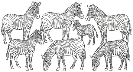 Peaceful Cartoon Zebras Grazing in the African Savanna, Isolated White Background for Coloring Book