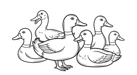 Group of Cartoon Ducks Standing Together, Farm Animals Collection, isolated white background