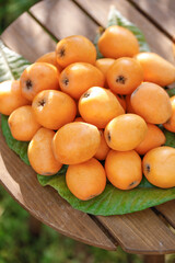 Panzhihua Alpine Loquat Fruits on Wooden Table - Fresh Orange Organic Produce Display