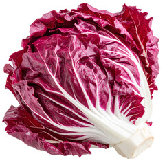 Obraz premium Radiant Red Cabbage Head Isolated On White Background: A vibrant, close-up shot of a freshly harvested red cabbage head, showcasing its intricate texture and rich. 