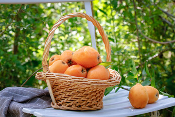 Sweet Loquat Fruits in Wicker Basket - Fresh Organic Harvest from Miyi Panzhihua China