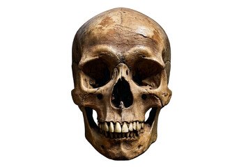 Obraz premium Ancient weathered human skull with eroded surface, hollow eye sockets, worn teeth, isolated on transparent or white background