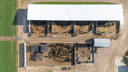 Cattle farm layout showing barns and grazing area with livestock in a rural setting