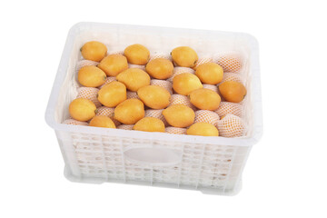 Fresh Loquat Fruits in Plastic Crate from Miyi Panzhihua China Ready for Market Distribution