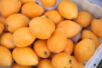 Fresh Golden Mangoes in Market Crates - Tropical Fruit Display